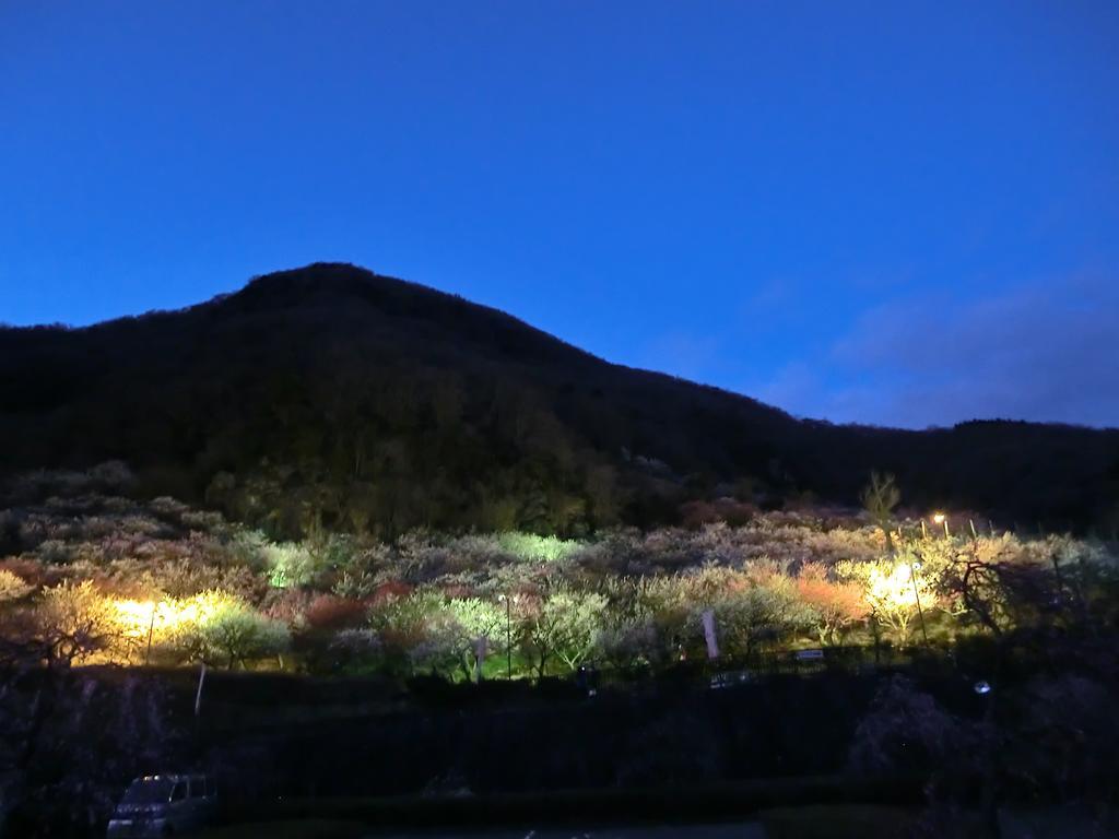 Yugawara Onsen Kawasegien Isuzu Hotel Atami  Exteriér fotografie