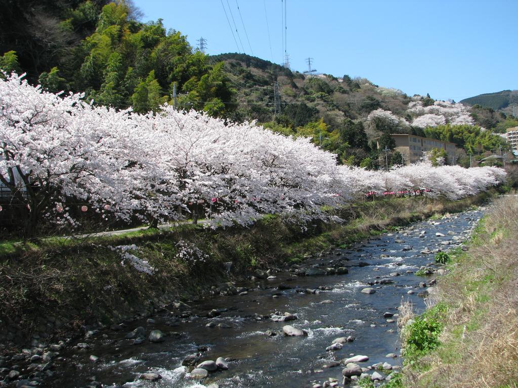 Yugawara Onsen Kawasegien Isuzu Hotel Atami  Exteriér fotografie