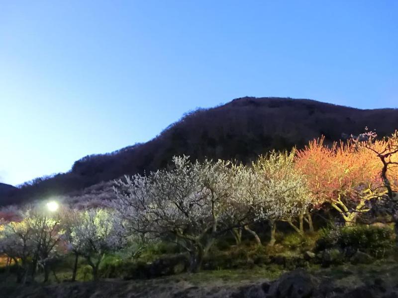 Yugawara Onsen Kawasegien Isuzu Hotel Atami  Exteriér fotografie